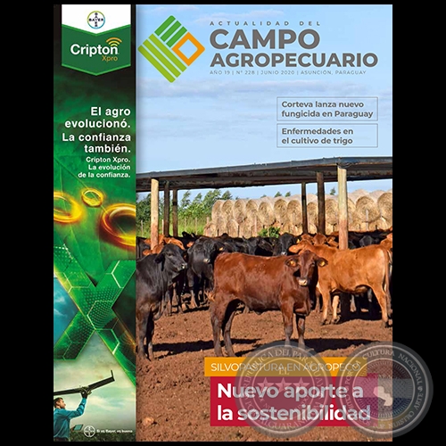 CAMPO AGROPECUARIO - AÑO 19 - NÚMERO 228 - JUNIO 2020 - REVISTA DIGITAL